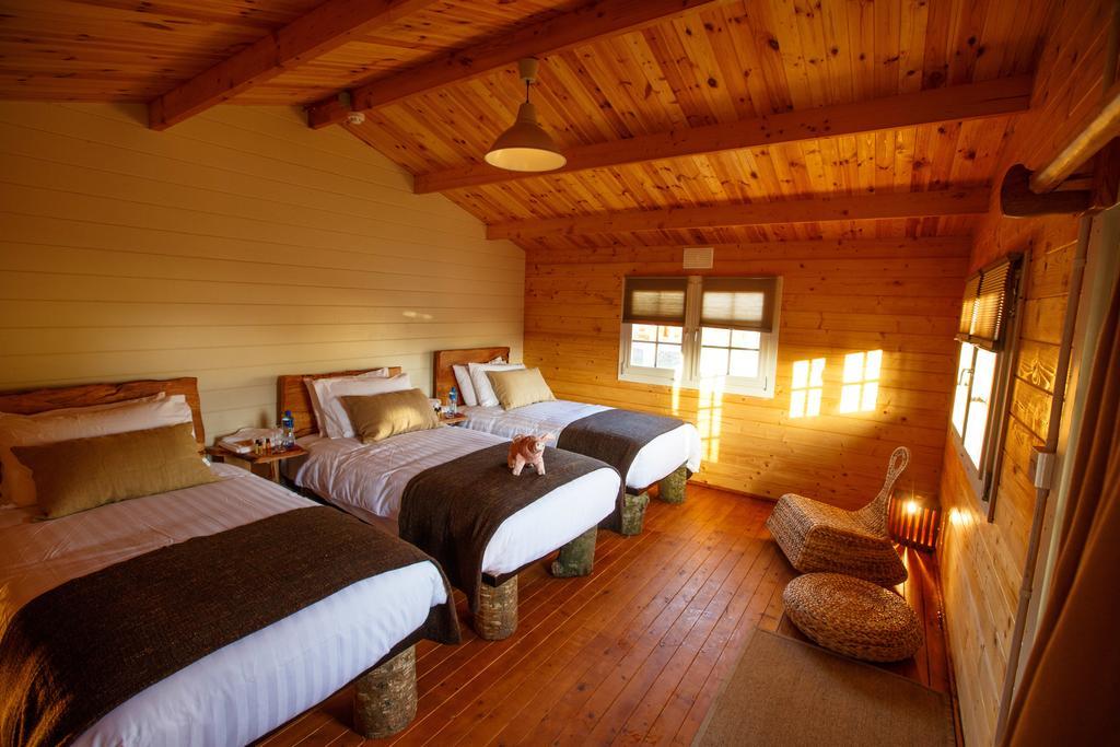 Giltraps Townhouse & Glamping 호텔 키니티 객실 사진